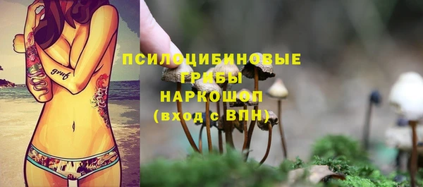 спиды Алексин