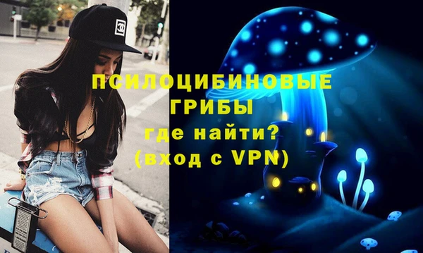 твердый Алзамай
