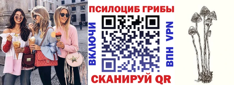 Галлюциногенные грибы MAGIC MUSHROOMS  Кинель 